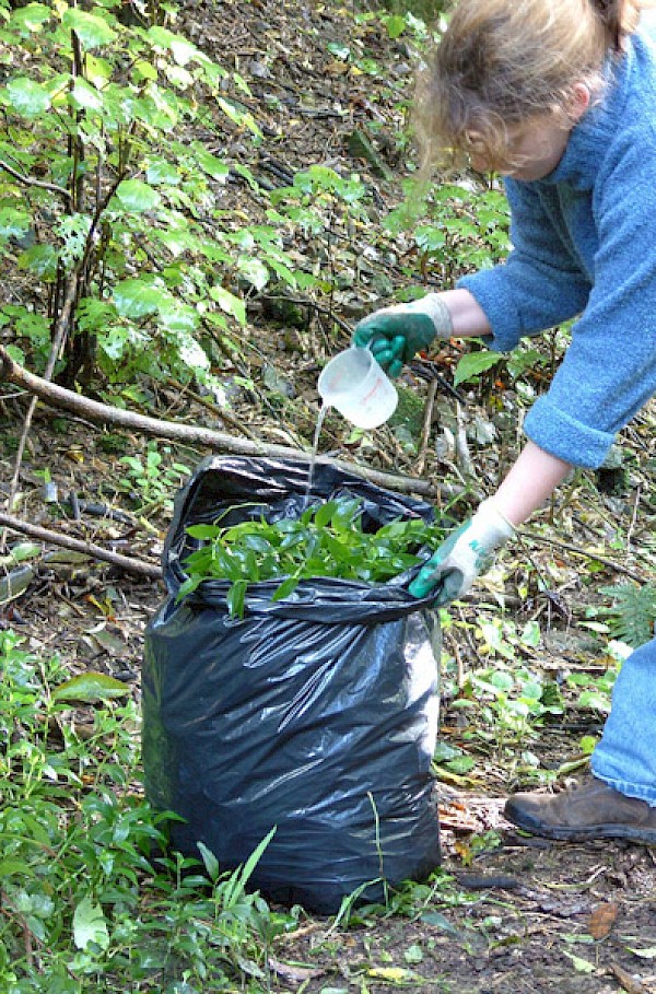 Bagging weeds